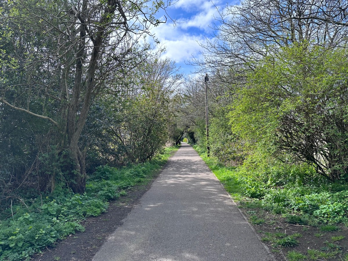 Children of the&nbsp;Line