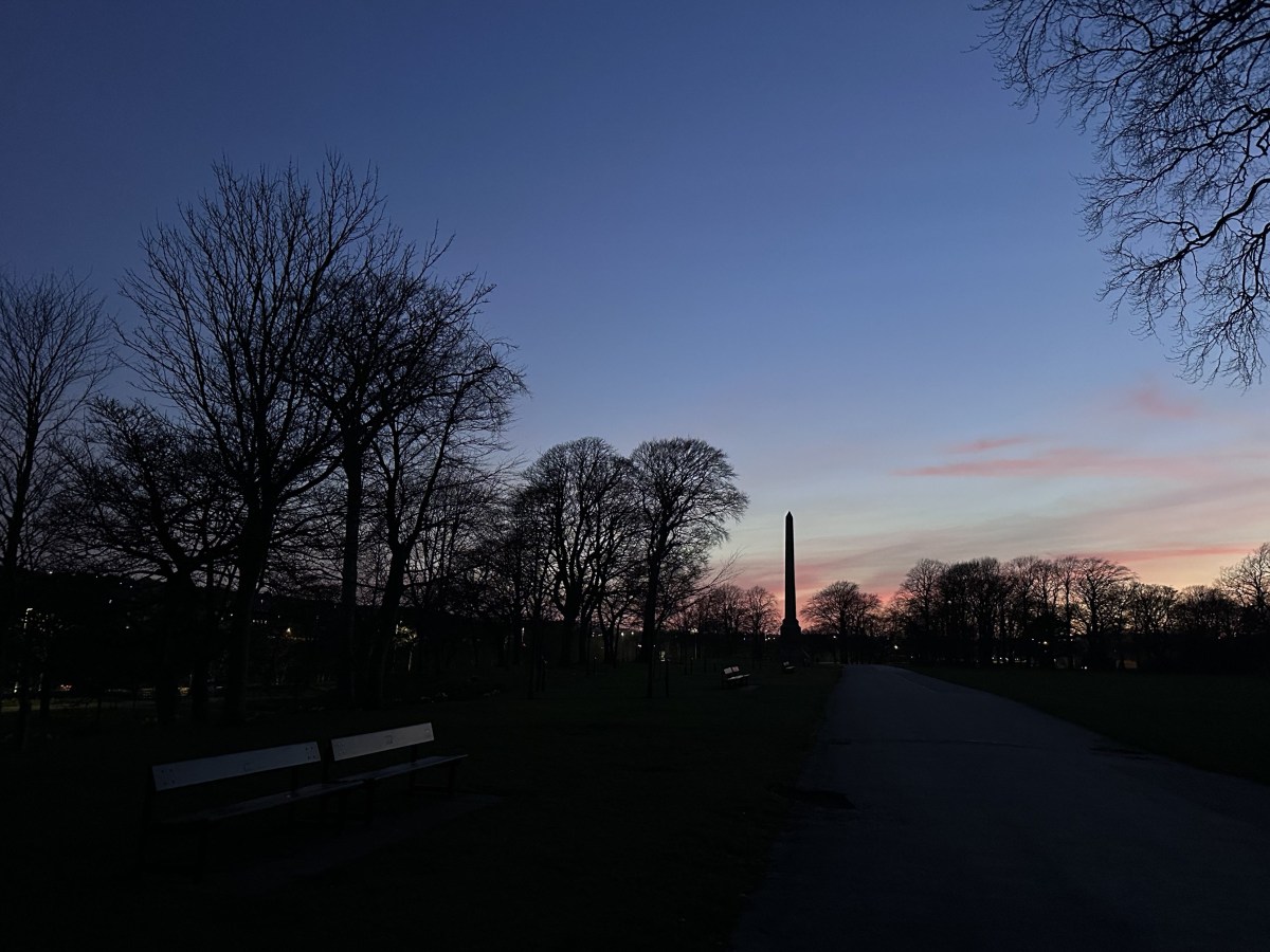 Park, Dusk, Almost&nbsp;Spring