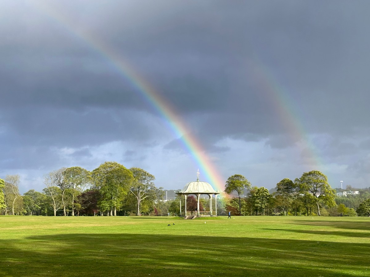 Park, Rain, Suddenly&nbsp;Summer