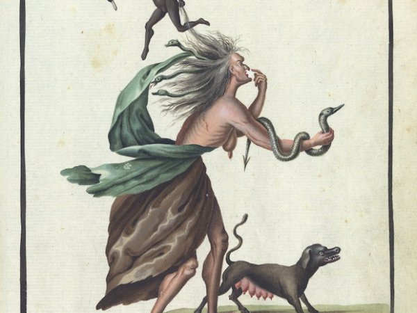 Fuckwits Walking Dogs
